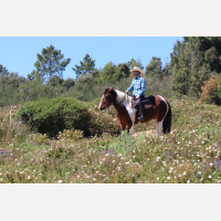 robin_et_pin_up_cowboy