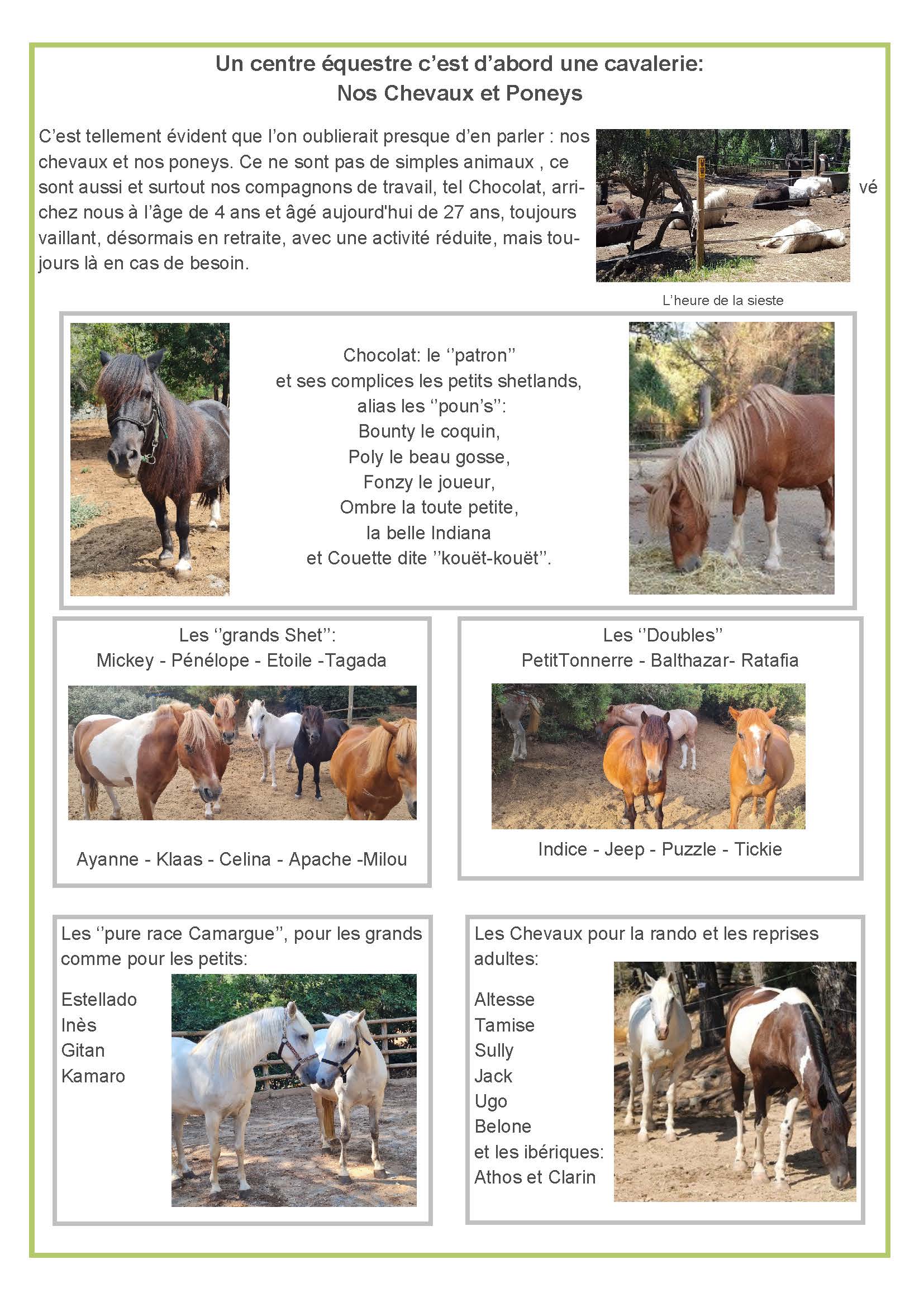 bulletin 2025 2026 Page 03